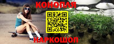 меф Кингисепп
