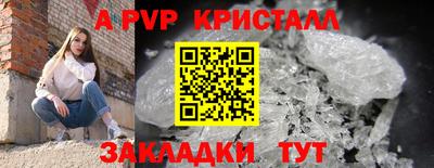 меф Кингисепп