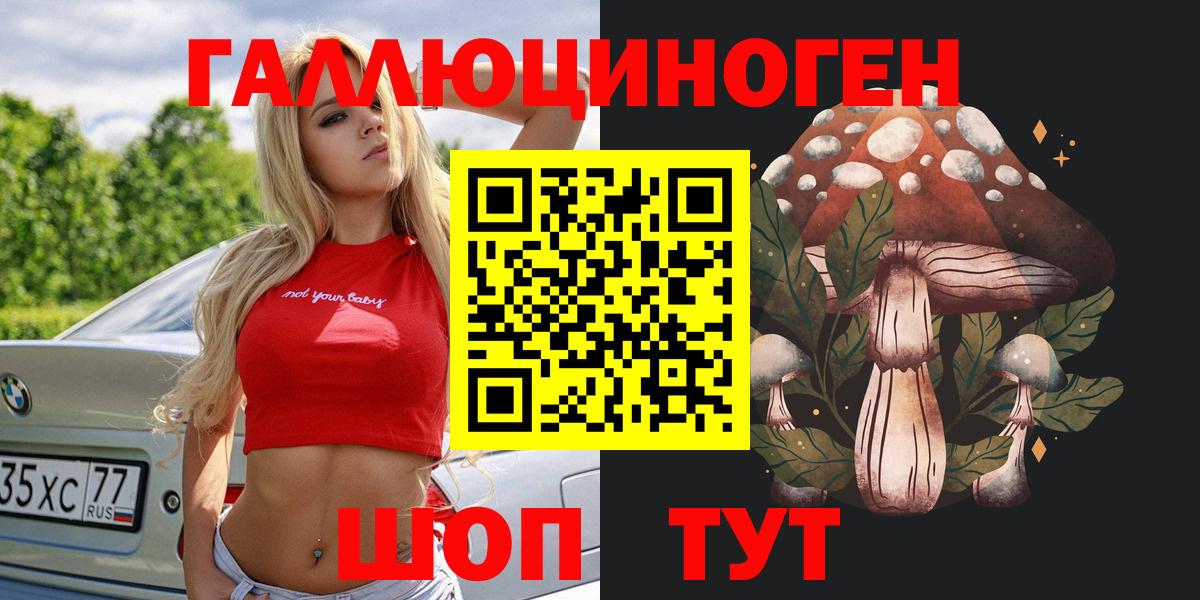 Псилоцибиновые грибы Psilocybine cubensis Краснокаменск
