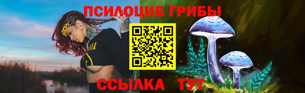 купить наркотики цена  Вход с VPN  Краснокаменск  Галлюциногенные грибы GOLDEN TEACHER 
